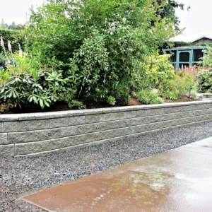 A garden with lush greenery is bordered by a tiered stone retaining wall next to a path paved with Viverra Consequat gravel and a wet concrete surface, leading to a house in the background.